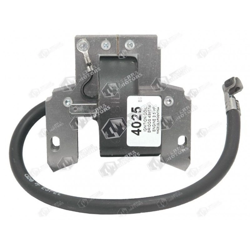 Aprindere Briggs and Stratton 3.5cp 496914 - 4025 (Dze)